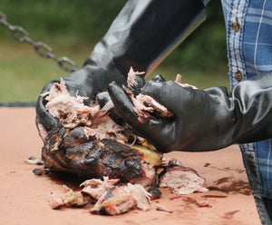 Out of this World Pulled Pork Recipe